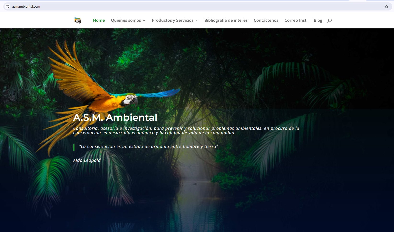 Sitio web ASM Ambiental — MCG